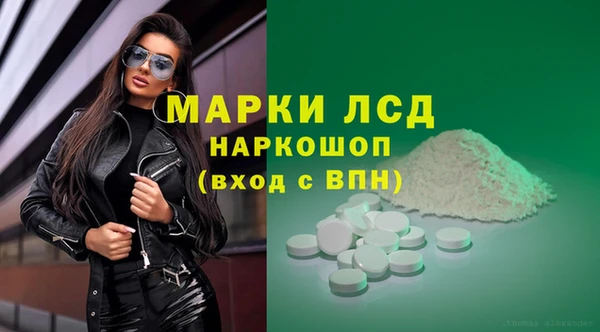 ПСИЛОЦИБИНОВЫЕ ГРИБЫ Беломорск