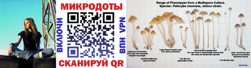 Псилоцибиновые грибы мухоморы  Плёс 